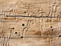 Holzwurm-Gänge und -Löcher im Holz. Die Spuren zeigen, wie der Holzwurm sich durch das Material gefressen hat.