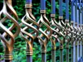 Detailaufnahme eines verzierten metallzauns, der darauf wartet, gestrichen zu werden. Die gedrehten Elemente glänzen im Licht.