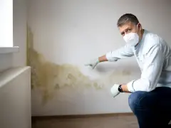 Mann mit Maske und Handschuhen zeigt auf schimmeligen Putz an einer Wand neben einem Heizkörper.