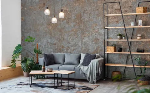 Stilvolles Wohnzimmer mit grauer Couch, rustikaler Wand (wie MDF tapezieren) und Regal.