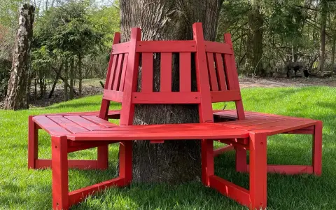Frisch gestrichene rote Gartenbank um einen Baum im Grünen.