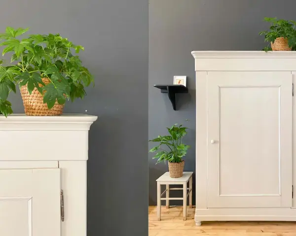 Eine frisch lackierte Kommode in hellem Cremeton, dekoriert mit grünen Pflanzen.