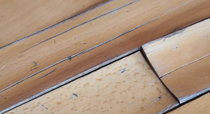 Wasserflecken auf Holzboden, die das helle Holz verfärben und die Maserung hervorheben.