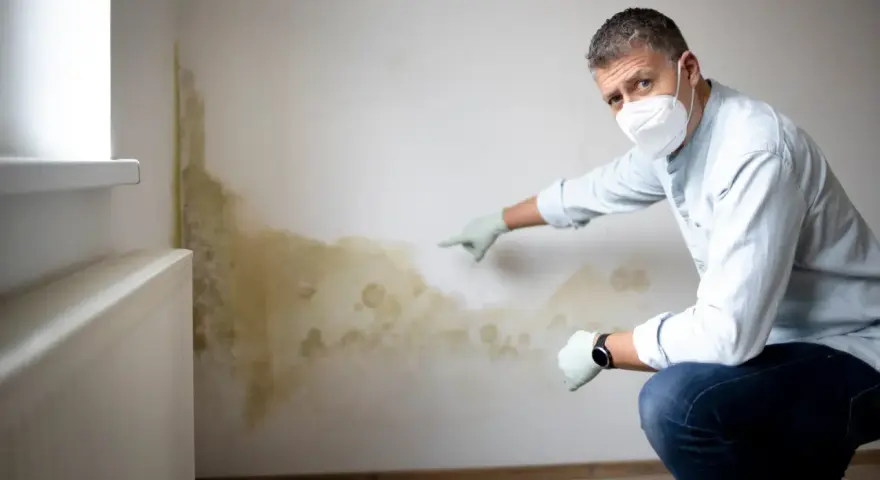 Mann mit Maske und Handschuhen zeigt auf schimmeligen Putz an einer Wand neben einem Heizkörper.
