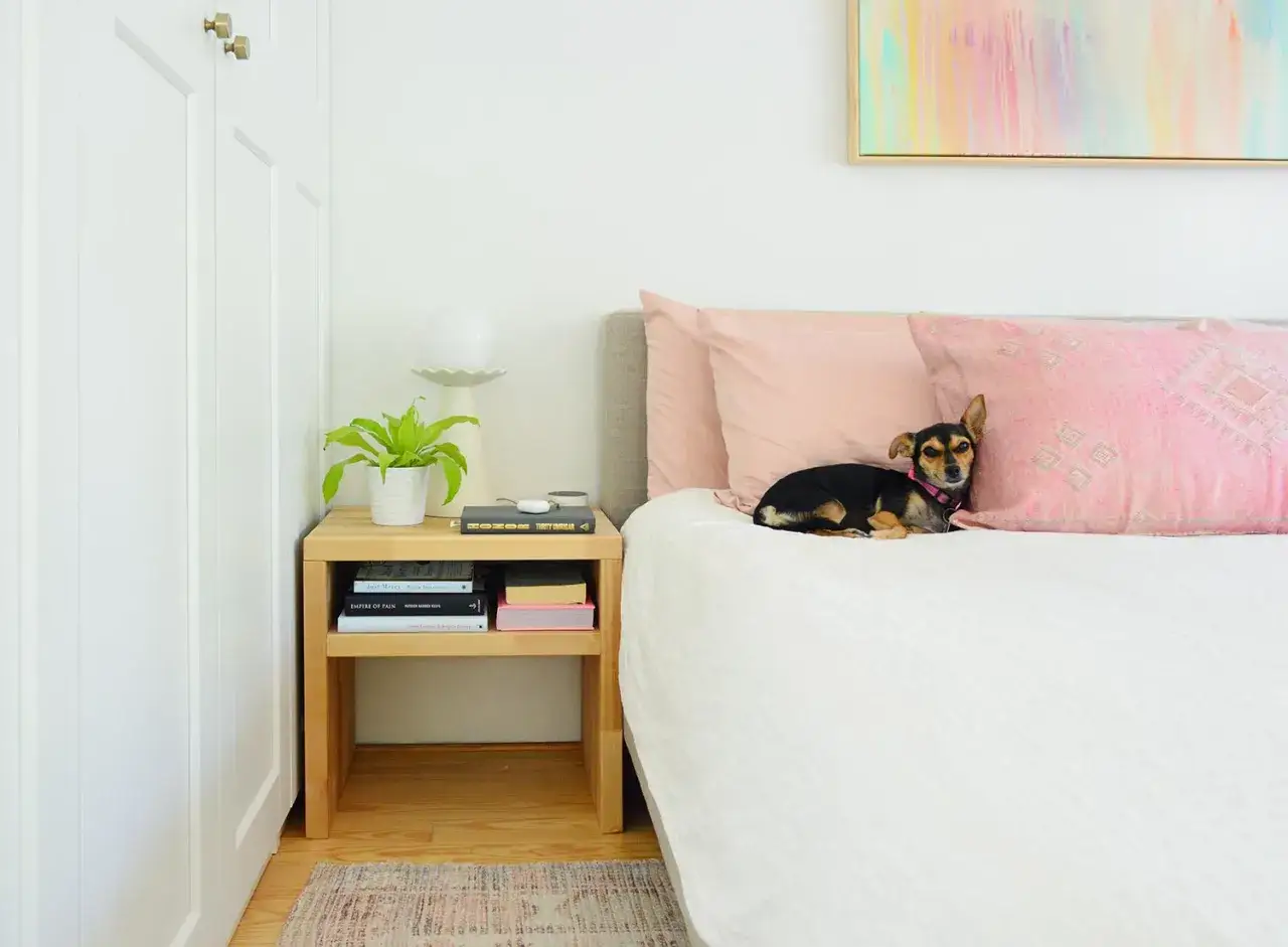 Ein Nachttisch DIY aus Holz neben dem Bett, mit Lampe, Pflanze und Büchern. Ein Hund liegt auf den rosa Kissen.
