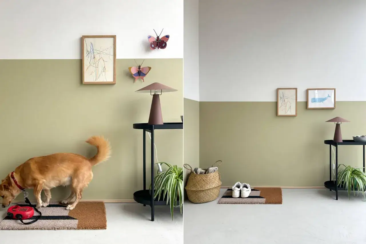 Ein Hund schnüffelt an einer Leine. Die Wand ist zweifarbig gestrichen. Die Frage, ob ist latexfarbe abwaschbar, wird hier nicht beantwortet.