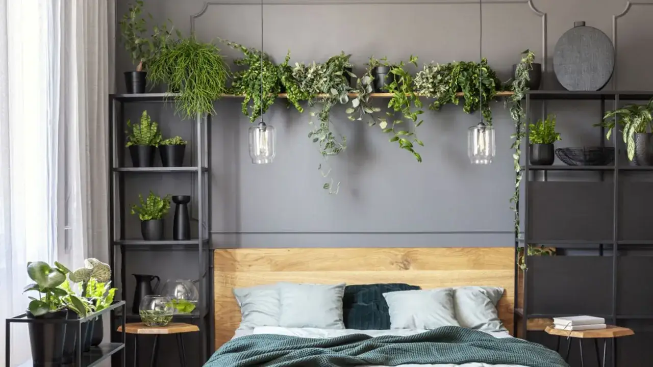 Ein gemütliches Schlafzimmer mit vielen Pflanzen, darunter ein Bogenhanf, der für frische Luft sorgt.